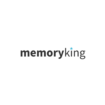 Memoryking Logo