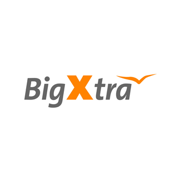 BigXtra Logo